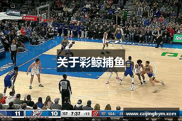 关于彩鲸捕鱼